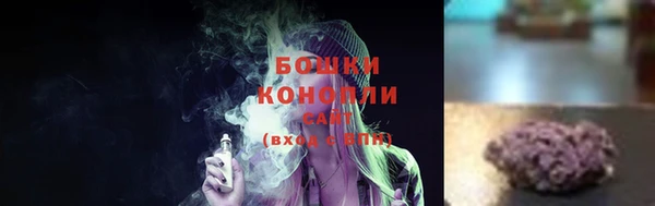 спайс Лагань