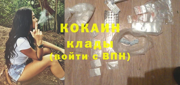 спайс Лагань