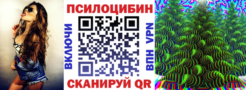 Купить закладки  Плёс  Галлюциногенные грибы Psilocybine cubensis 