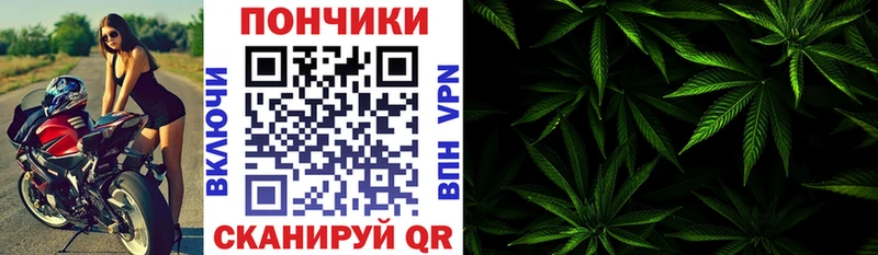 Купить  Плёс  Бошки Шишки гибрид 